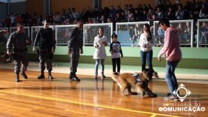 03apresentação