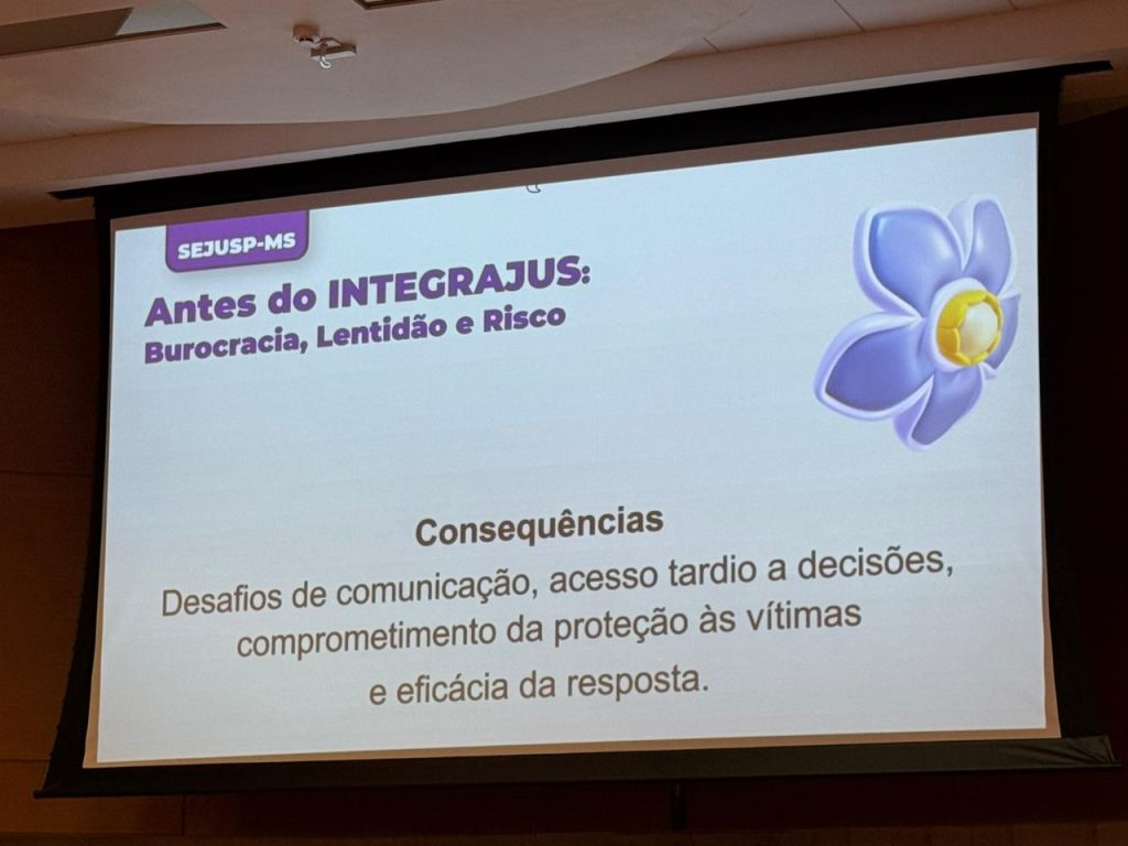 Consequências da burocracia