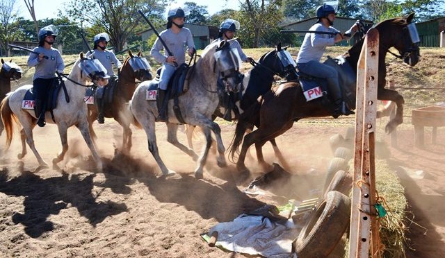 Cavalaria da PMAM completa 34 anos - Portal Em Tempo