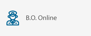 Boletim de Ocorrência Online.