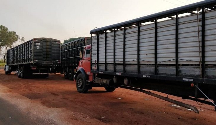 Durante fiscalização, Iagro e DOF apreendem três caminhões com animais e guia de trânsito falsificada – SEJUSP