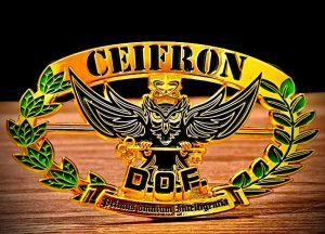 DOF conclui primeiro curso policial voltado para atividade de inteligência em fronteira DOF conclui primeiro curso policial voltado para atividade de inteligência em fronteira